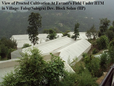 View of Protected Cultivation at Farmer's Field Under HTM in Village: Falog (Salogra) Dev. Block Solan (HP)