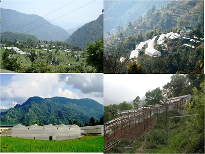 Cluster of Greenhouses with Tubular and Bamboo Structures, Sikkim