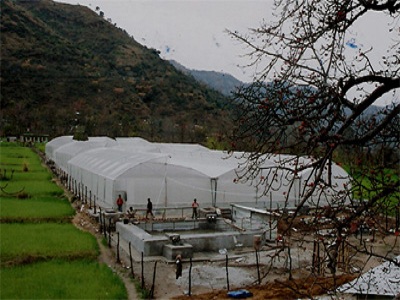 Protected Cultivation Sunni, Dev Block Basantpur, Himachal Pradesh